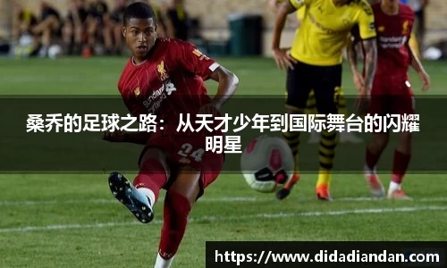 桑乔的足球之路：从天才少年到国际舞台的闪耀明星